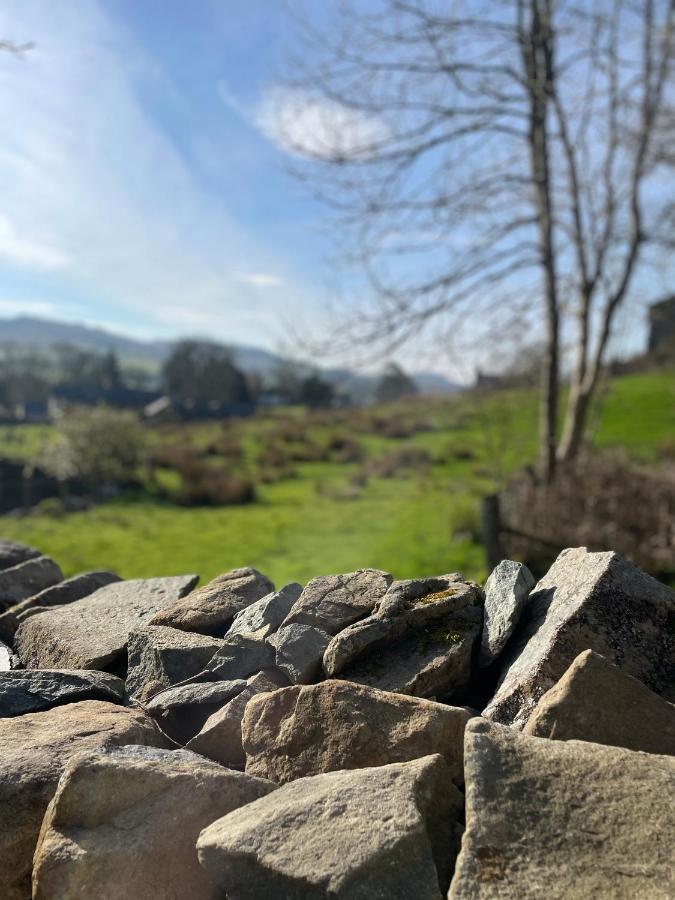 Trawsfynydd Stone Cottage Extérieur photo