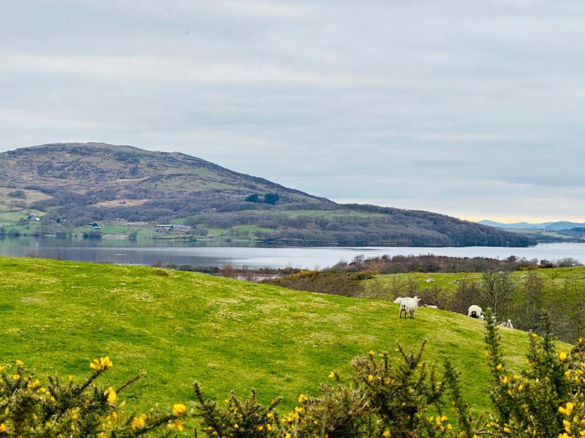 Trawsfynydd Stone Cottage Extérieur photo